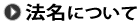 法名について