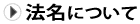 法名について